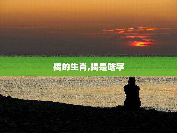揭的生肖,揭是啥字