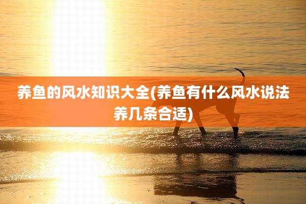 养鱼的风水知识大全(养鱼有什么风水说法养几条合适)
