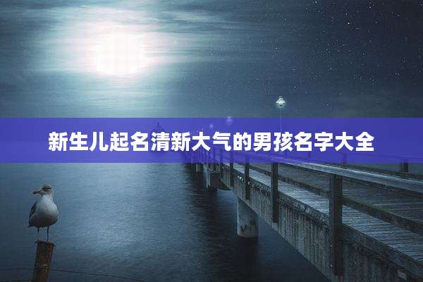 新生儿起名清新大气的男孩名字大全
