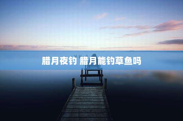 腊月夜钓 腊月能钓草鱼吗