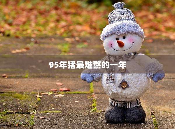 95年猪最难熬的一年