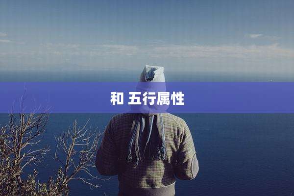 和 五行属性