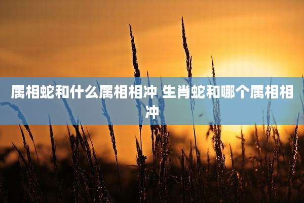 属相蛇和什么属相相冲 生肖蛇和哪个属相相冲