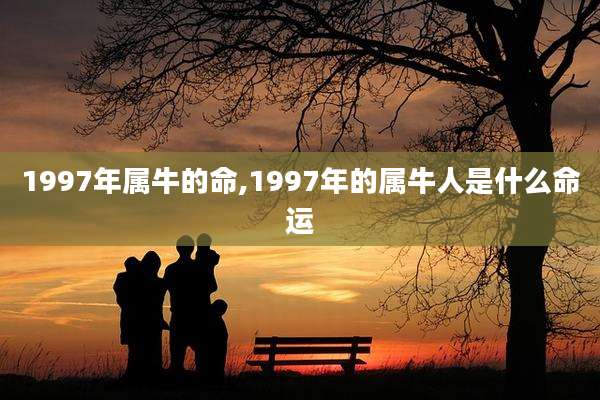 1997年属牛的命,1997年的属牛人是什么命运