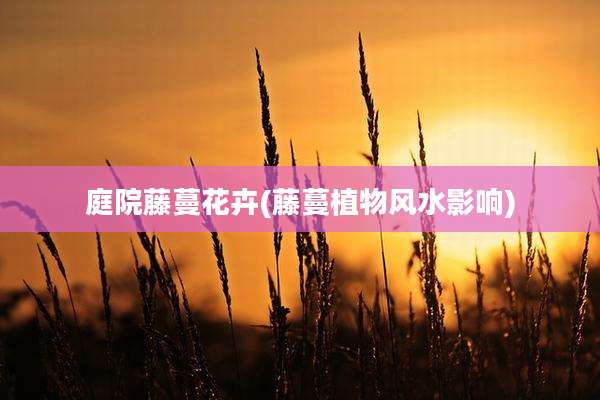 庭院藤蔓花卉(藤蔓植物风水影响)