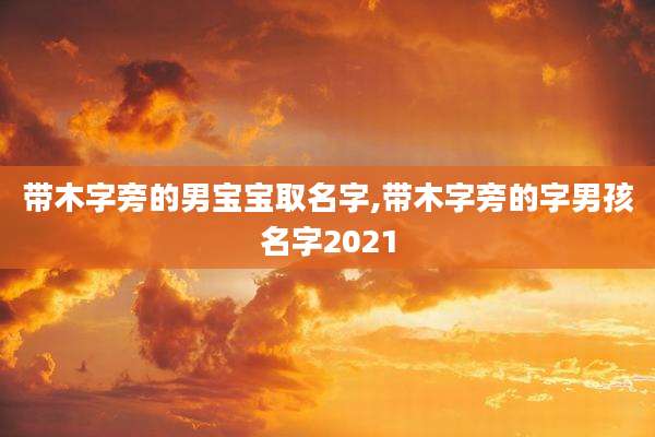 带木字旁的男宝宝取名字,带木字旁的字男孩名字2021