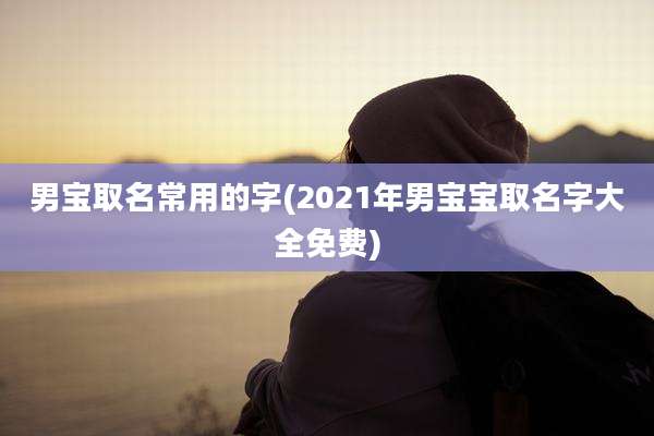 男宝取名常用的字(2021年男宝宝取名字大全免费)