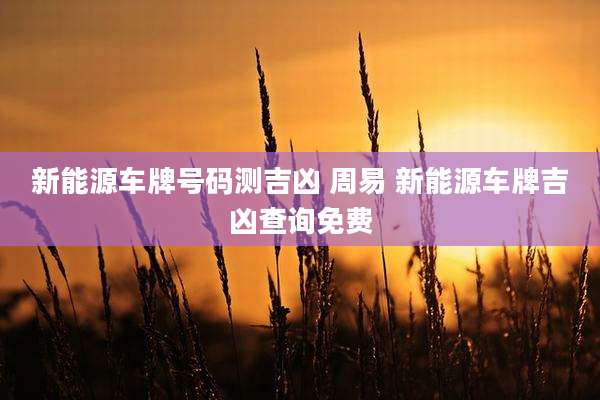 新能源车牌号码测吉凶 周易 新能源车牌吉凶查询免费