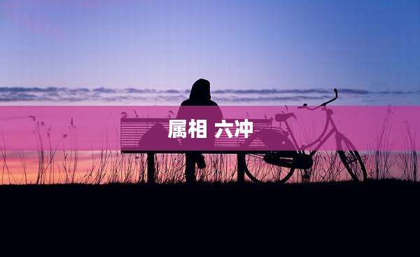 属相 六冲