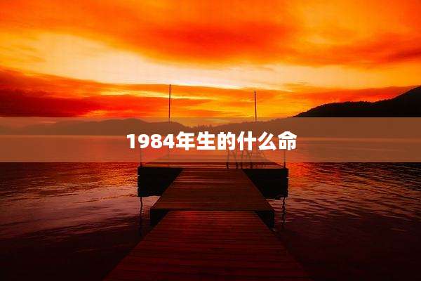 1984年生的什么命