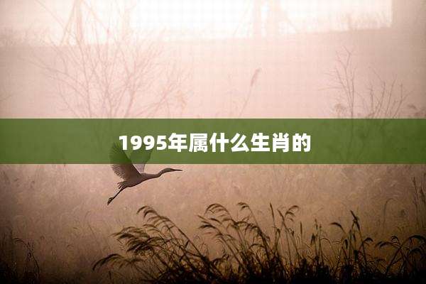 1995年属什么生肖的