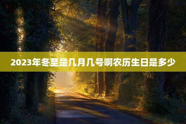 2023年冬至是几月几号啊农历生日是多少
