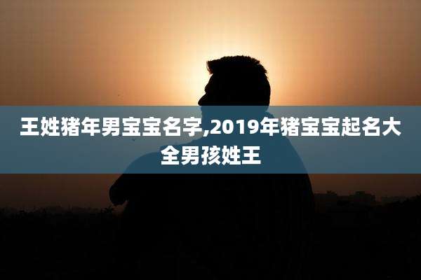 王姓猪年男宝宝名字,2019年猪宝宝起名大全男孩姓王