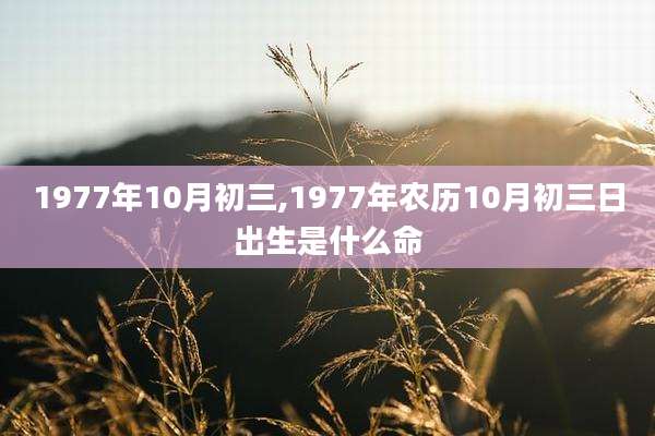 1977年10月初三,1977年农历10月初三日出生是什么命