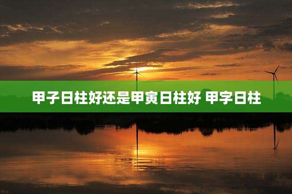 甲子日柱好还是甲寅日柱好 甲字日柱