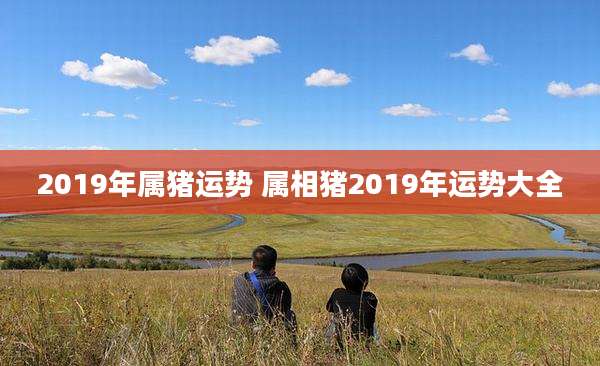 2019年属猪运势 属相猪2019年运势大全