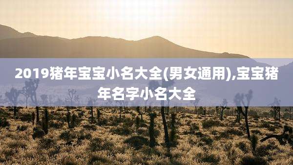 2019猪年宝宝小名大全(男女通用),宝宝猪年名字小名大全