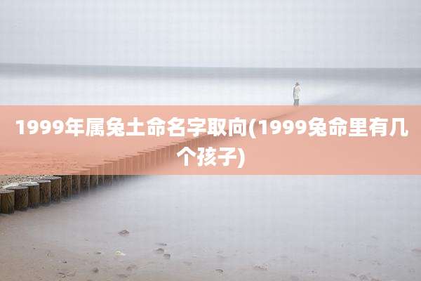 1999年属兔土命名字取向(1999兔命里有几个孩子)