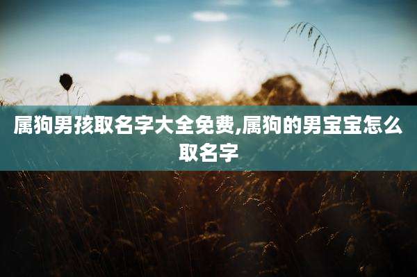 属狗男孩取名字大全免费,属狗的男宝宝怎么取名字