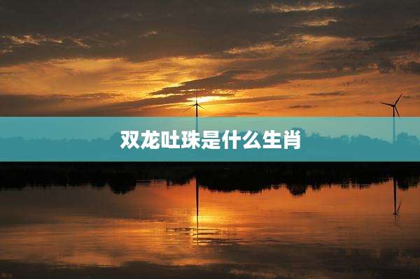 双龙吐珠是什么生肖