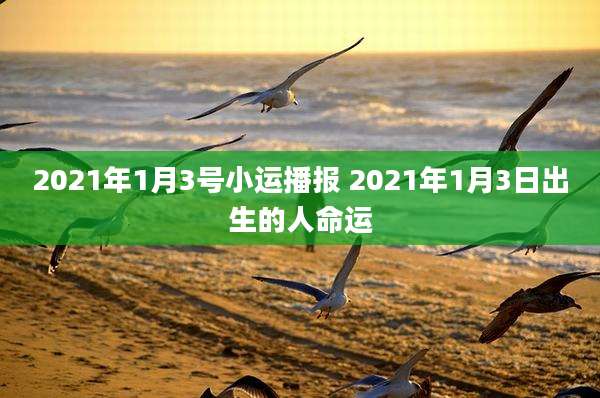 2021年1月3号小运播报 2021年1月3日出生的人命运