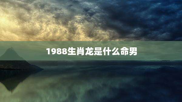 1988生肖龙是什么命男