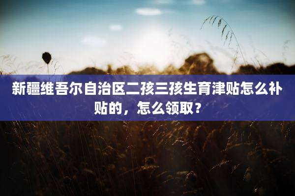 新疆维吾尔自治区二孩三孩生育津贴怎么补贴的，怎么领取？