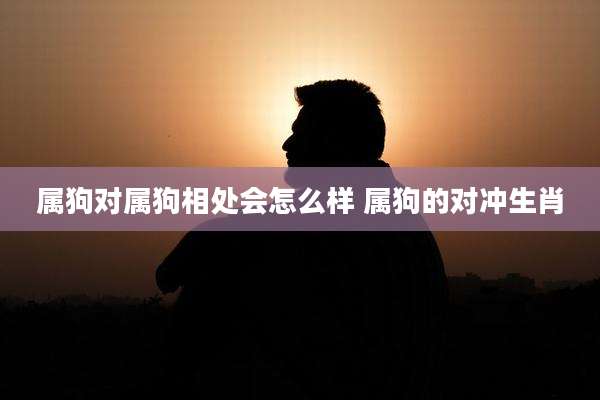 属狗对属狗相处会怎么样 属狗的对冲生肖