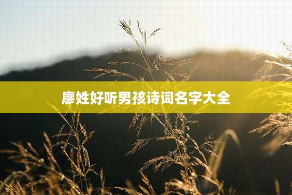 廖姓好听男孩诗词名字大全