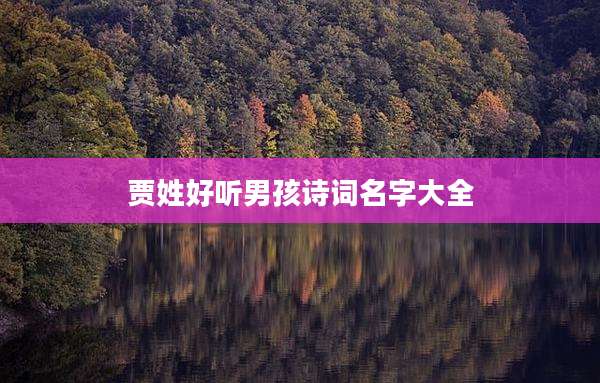 贾姓好听男孩诗词名字大全