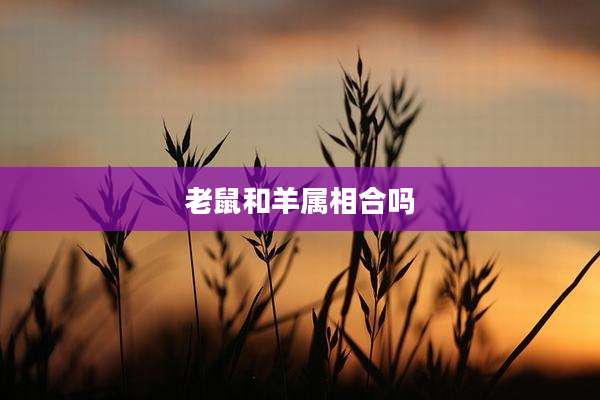 老鼠和羊属相合吗