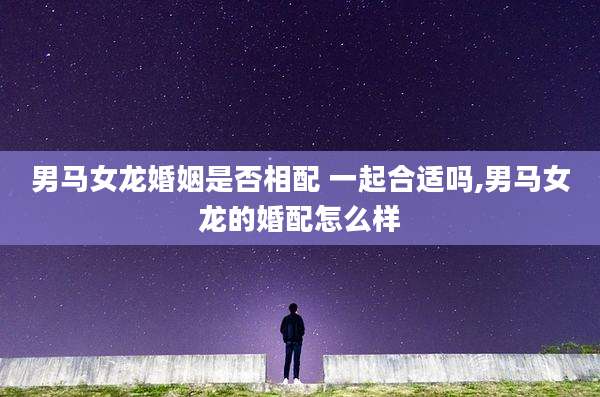男马女龙婚姻是否相配 一起合适吗,男马女龙的婚配怎么样