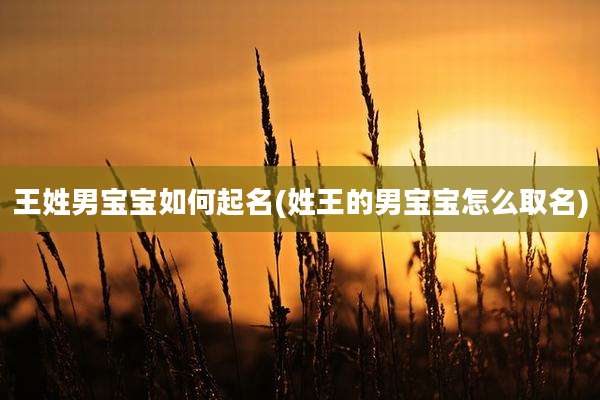 王姓男宝宝如何起名(姓王的男宝宝怎么取名)