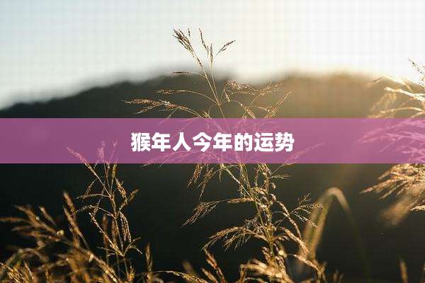 猴年人今年的运势