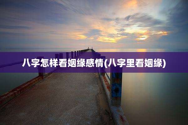 八字怎样看姻缘感情(八字里看姻缘)