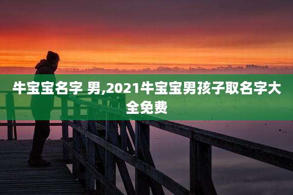 牛宝宝名字 男,2021牛宝宝男孩子取名字大全免费