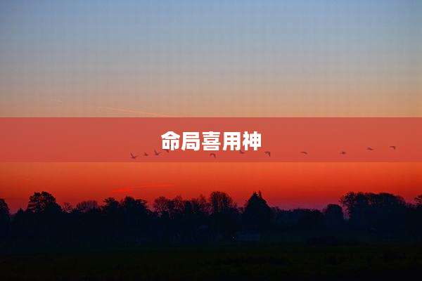 命局喜用神