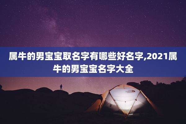 属牛的男宝宝取名字有哪些好名字,2021属牛的男宝宝名字大全