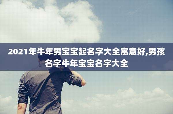 2021年牛年男宝宝起名字大全寓意好,男孩名字牛年宝宝名字大全