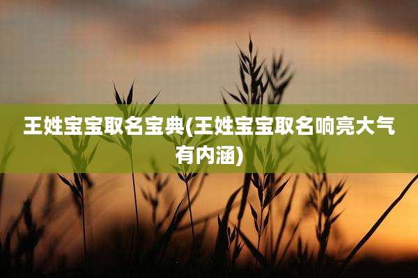 王姓宝宝取名宝典(王姓宝宝取名响亮大气有内涵)