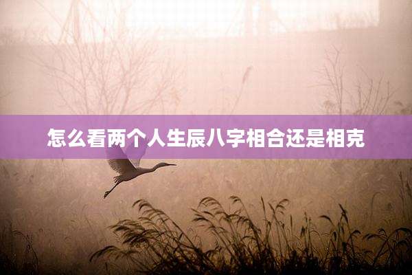 怎么看两个人生辰八字相合还是相克