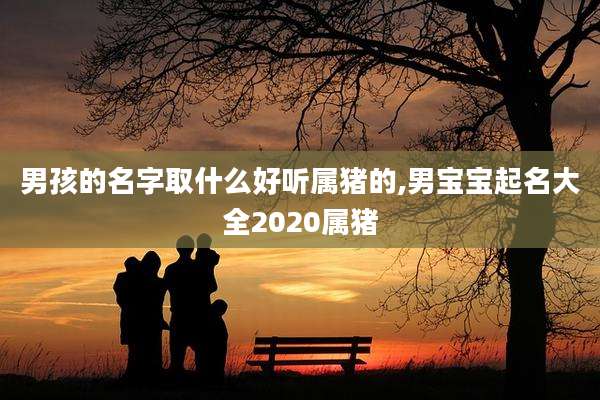 男孩的名字取什么好听属猪的,男宝宝起名大全2020属猪