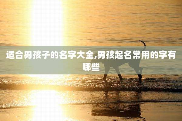 适合男孩子的名字大全,男孩起名常用的字有哪些