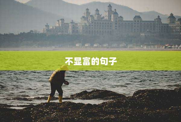 不显富的句子