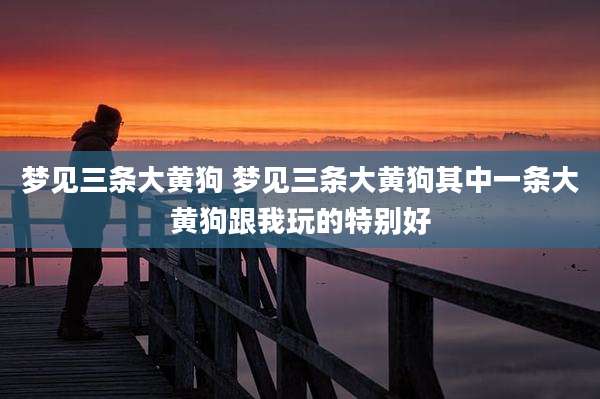 梦见三条大黄狗 梦见三条大黄狗其中一条大黄狗跟我玩的特别好