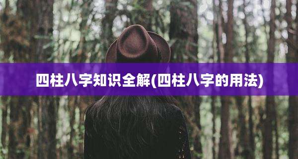 四柱八字知识全解(四柱八字的用法)