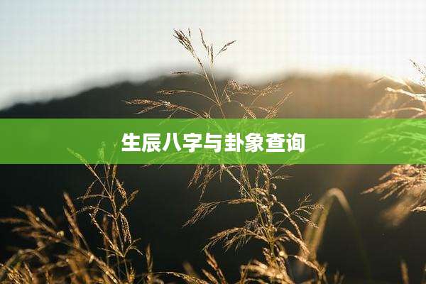 生辰八字与卦象查询