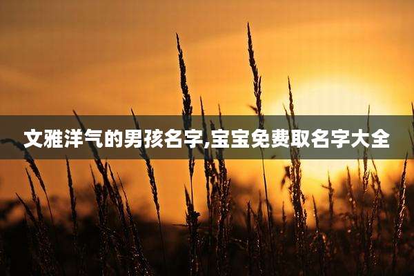 文雅洋气的男孩名字,宝宝免费取名字大全