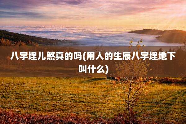 八字埋儿煞真的吗(用人的生辰八字埋地下叫什么)