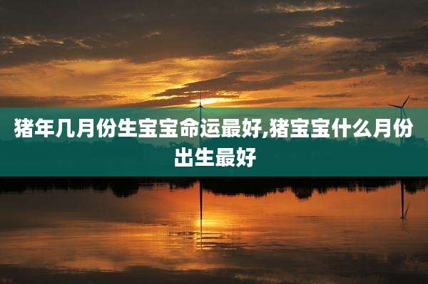 猪年几月份生宝宝命运最好,猪宝宝什么月份出生最好